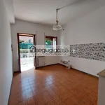 Rent 2 bedroom apartment of 50 m² in Roma