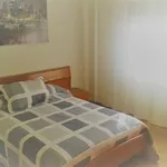 Rent 2 bedroom apartment of 64 m² in Gijón