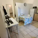 Rent 1 bedroom apartment of 30 m² in Torino