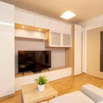 Rent 1 bedroom apartment of 31 m² in Prague