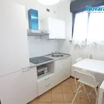 Rent 2 bedroom apartment of 36 m² in Novara