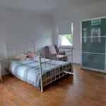 Maison de 500 m² avec 4 chambre(s) en location à Aalst