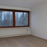 Vuokraa 2 makuuhuoneen talo, 45 m² paikassa Rakokivi,