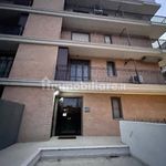 Affitto 2 camera appartamento di 48 m² in Foggia