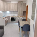 Rent 1 bedroom apartment in City of Zagreb