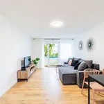 Rent 2 bedroom apartment of 65 m² in Nürnberg