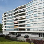 Rent 4 bedroom apartment of 68 m² in Lancy