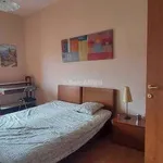 Rent 2 bedroom apartment of 55 m² in Turin