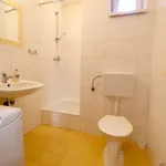 Rent 1 bedroom apartment in Hradec Králové