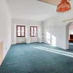 Rent 3 bedroom apartment of 112 m² in Dobřany