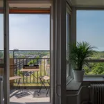 Rent 3 bedroom apartment of 63 m² in Bergpolder