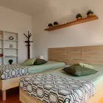 Rent a room of 45 m² in milan