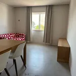 Rent 1 bedroom apartment in Porto