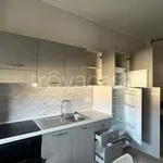 Rent 1 bedroom apartment of 35 m² in Torino