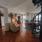 Rent 4 bedroom apartment of 134 m² in Pavia