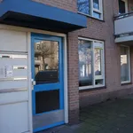 Rent 2 bedroom apartment of 60 m² in Arnhem