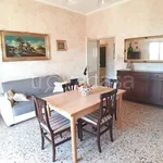 Rent 3 bedroom apartment of 80 m² in Catania