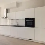 Rent 3 bedroom apartment of 70 m² in Geuzenbuurt