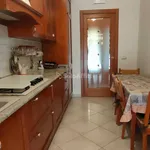 Rent 3 bedroom apartment of 80 m² in Roma