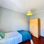 Rent 4 bedroom apartment in Coimbra