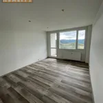 Pronajměte si 8 ložnic/e byt o rozloze 614 m² v Ústí nad Labem