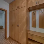 Rent 1 bedroom apartment of 37 m² in Poděbrady