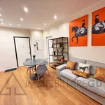 Rent 2 bedroom apartment of 50 m² in Torino