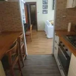 Rent 2 bedroom house of 65 m² in Bologna