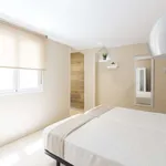 Rent 1 bedroom apartment in madrid