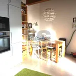 Rent 3 bedroom apartment of 100 m² in Monza