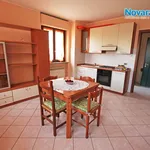 Rent 1 bedroom apartment of 30 m² in Novara