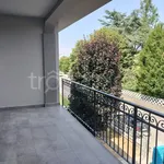 Rent 3 bedroom apartment of 100 m² in Sarmato