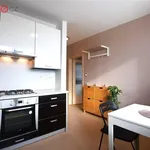 Rent 2 bedroom apartment of 33 m² in Vyškov