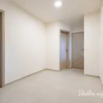 Rent 3 bedroom apartment in Prague