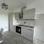 Rent 3 bedroom apartment of 100 m² in Sesto San Giovanni