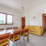 Rent 4 bedroom house of 85 m² in Carovigno