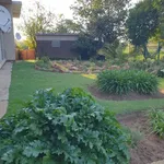 Rent 3 bedroom apartment in Krugersdorp