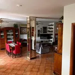 Rent 5 bedroom apartment of 150 m² in Penne