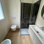 Rent 3 bedroom apartment of 80 m² in Bologna