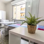 Rent a room in bologna