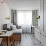 Rent 1 bedroom apartment of 24 m² in Praha