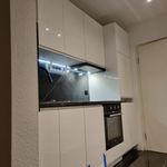 Rent 1 bedroom apartment of 30 m² in Dresden