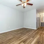 Rent 1 bedroom apartment in Houston