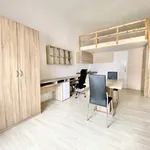 Rent 1 bedroom apartment in Brno