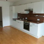 Rent 2 bedroom apartment of 47 m² in Graz