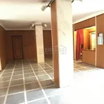 Rent 2 bedroom apartment of 50 m² in Turin