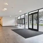 Huur 1 slaapkamer appartement van 45 m² in Leiden