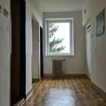 Pronájem bytu 3+1 65m²