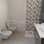 Rent 3 bedroom apartment of 80 m² in L'Aquila