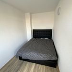 Rent 2 bedroom apartment of 861 m² in Duisburg